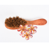 Stiff Coir Body Brush
